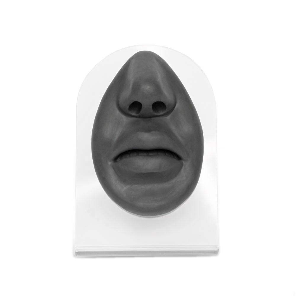 Silicone Nose and Lips Display — Black Body Bit Version 1