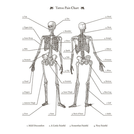 An anatomical skeleton diagram charting tattoo pain levels from mild discomfort to very painful.