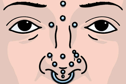 illustrated face with various types of nose piercings