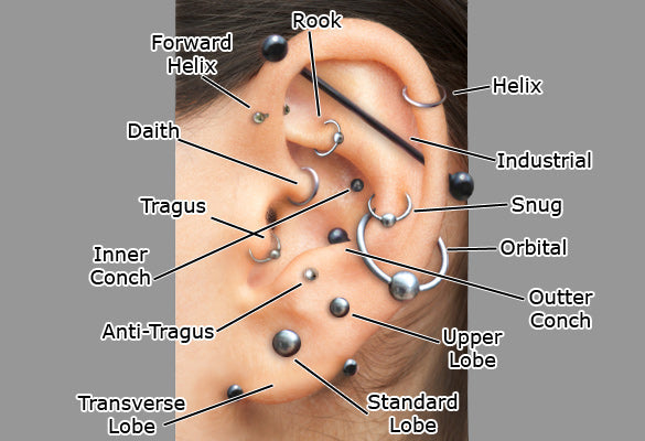 Ear Piercing Diagram Types of Body Piercings