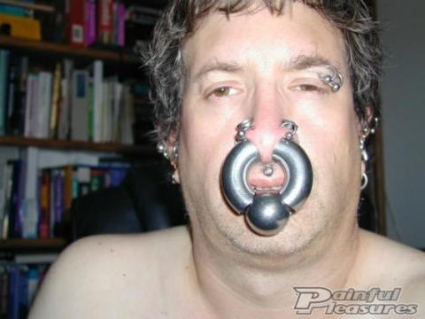 1"-Thick Captive Bead Ring in a Stretched Septum Piercing Extreme & Unusual Piercings