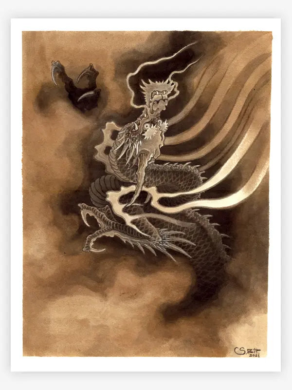 The Dragon Project — Hardcover Book - Painful Pleasures