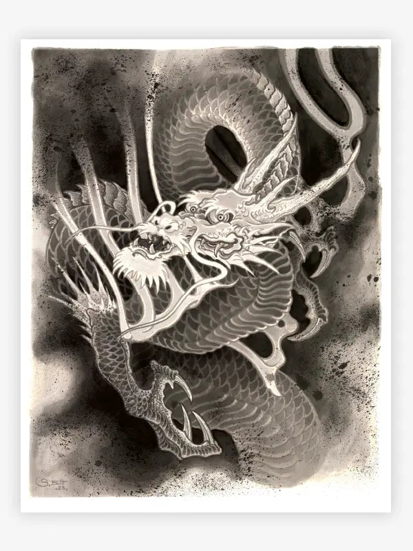 The Dragon Project — Hardcover Book - Painful Pleasures