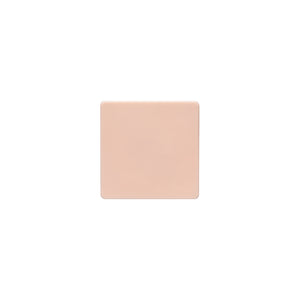 A Pound of Flesh Flat Canvas — 5" x 5" — Single or Pack - Painful Pleasures