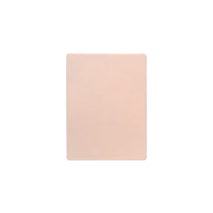 A Pound of Flesh Flat Canvas — 6" x 8" — Single or Pack - Painful Pleasures