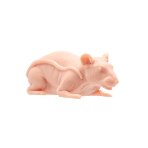 A Pound of Flesh Tattooable Naked Rat - Painful Pleasures