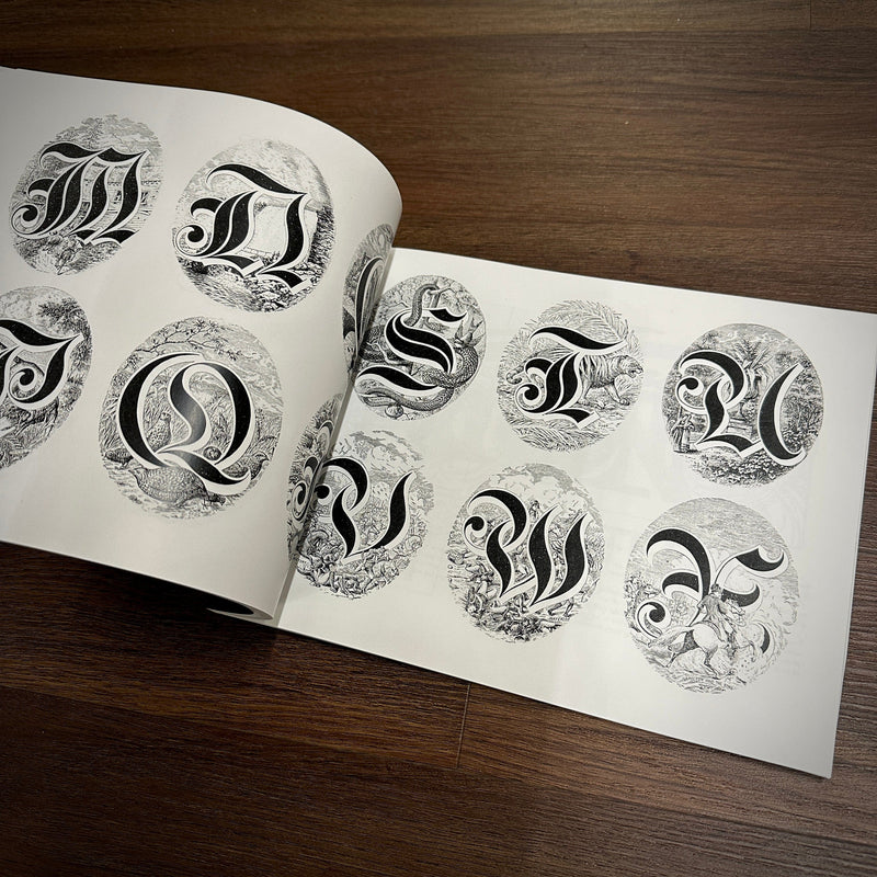 The Sign and Lettering Book — Softcover Book - Painful Pleasures