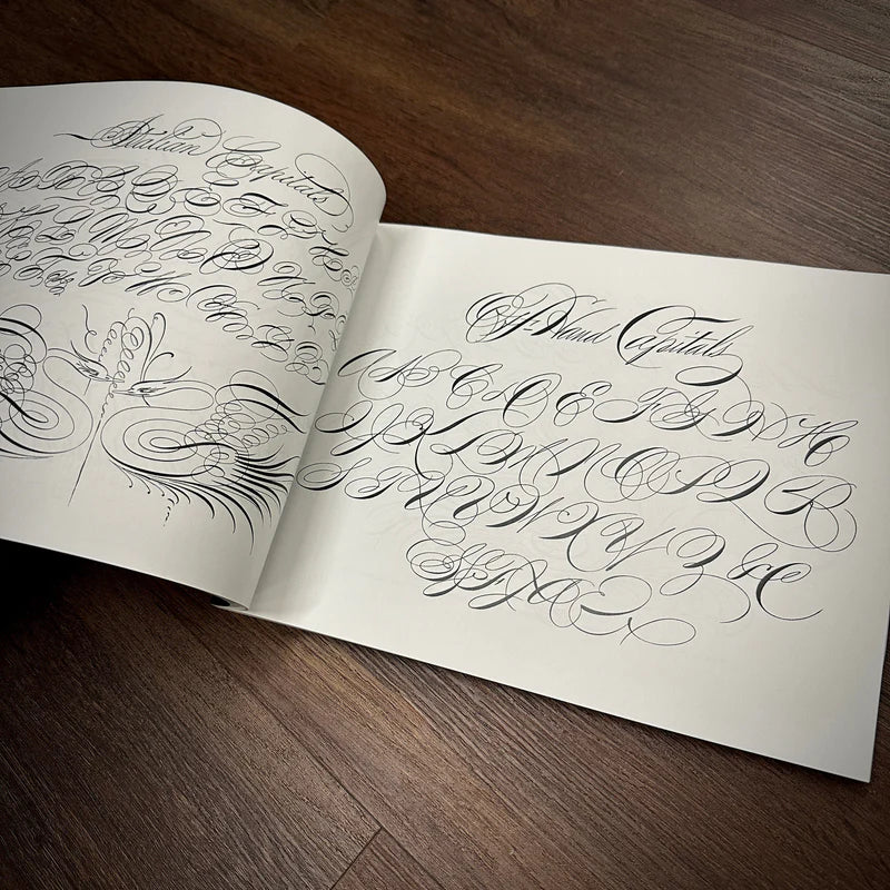 The Sign and Lettering Book — Softcover Book - Painful Pleasures