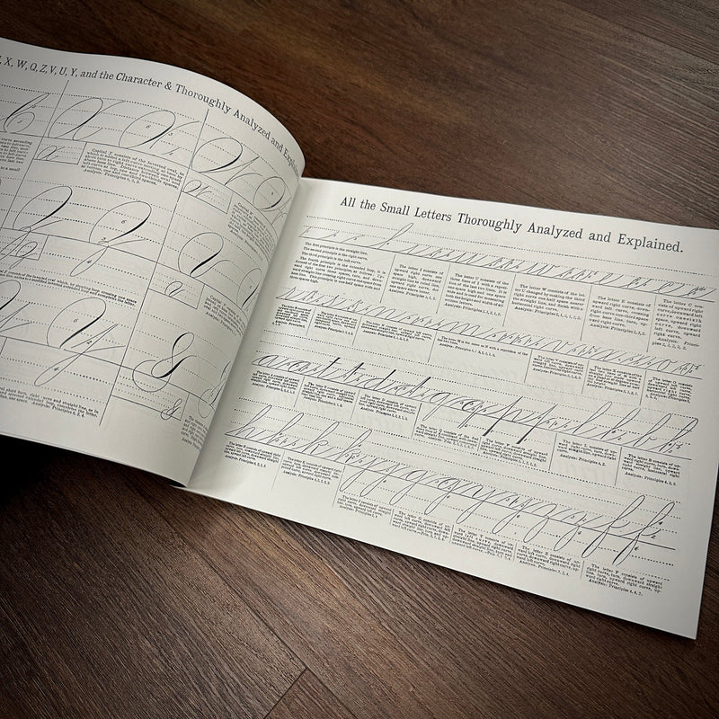 The Sign and Lettering Book — Softcover Book - Painful Pleasures
