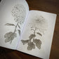 Japanese Foliage — Softcover Book - Painful Pleasures