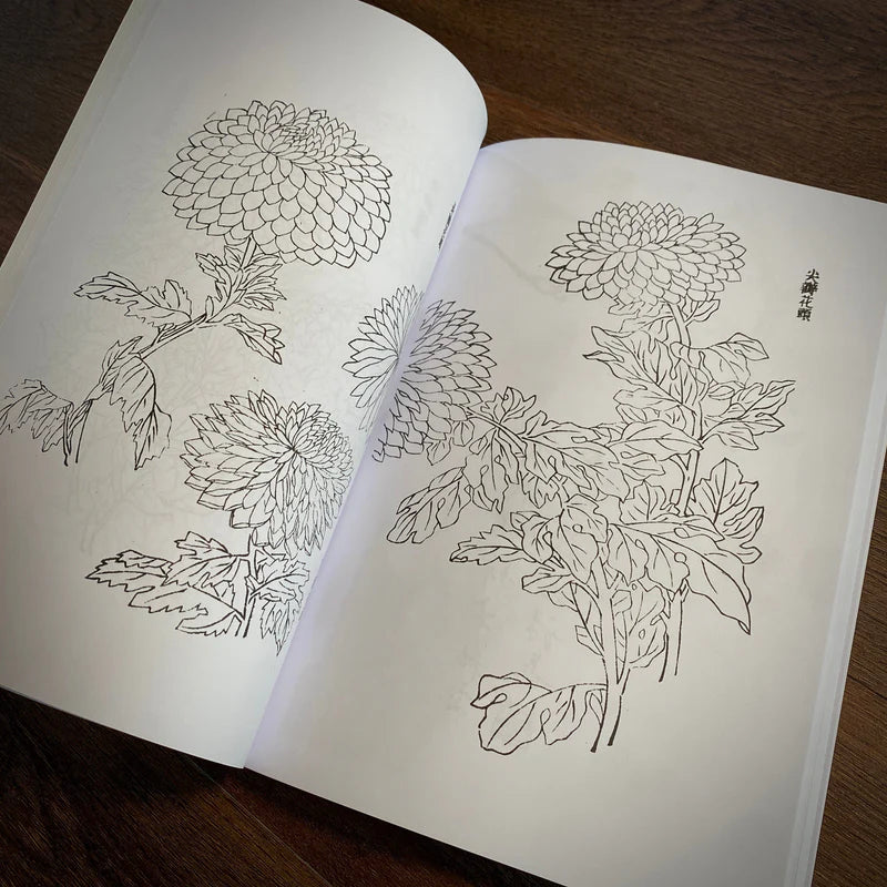 Japanese Foliage — Softcover Book - Painful Pleasures
