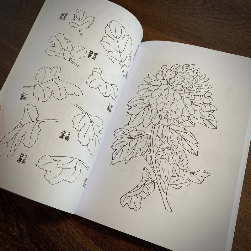 Japanese Foliage — Softcover Book - Painful Pleasures