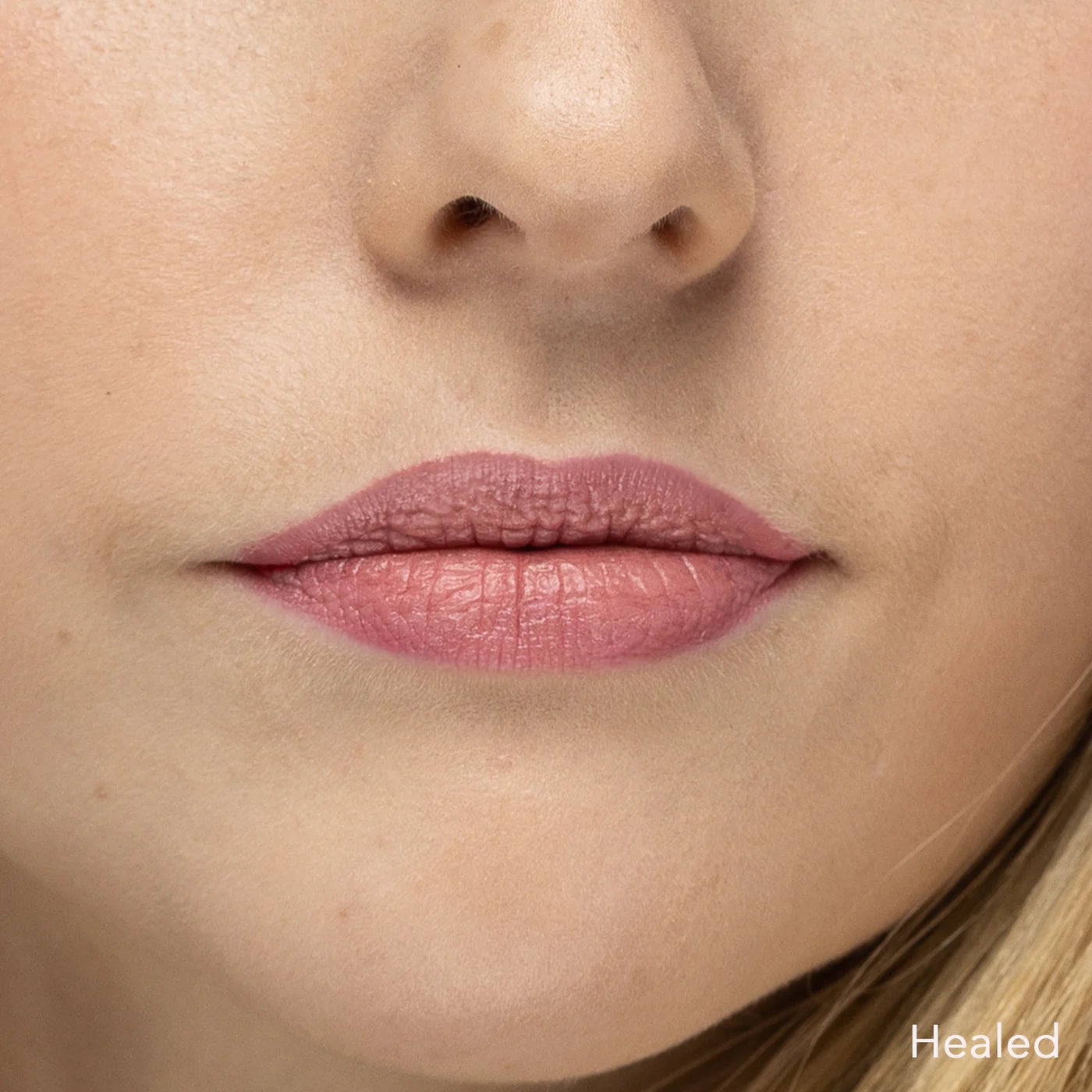 Tina Davies Collection Dusty Pink — Perma Blend | PainfulPleasures Tina Davies Collection Dusty Pink — Perma Blend | PainfulPleasures