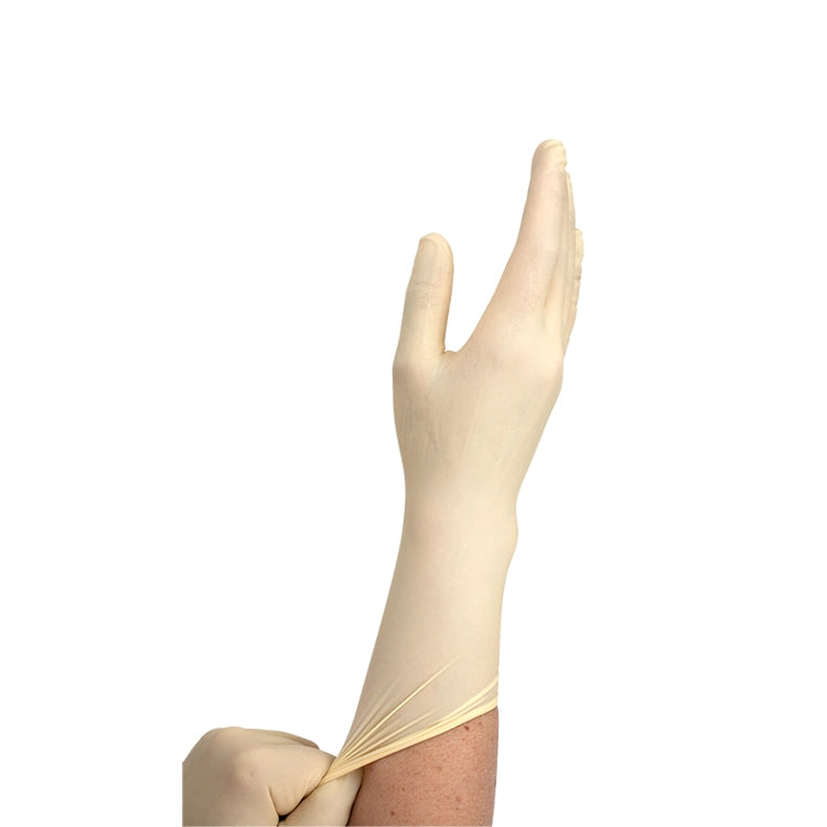Dynarex White Latex Gloves — Box of 100