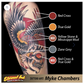 Myke Chambers True Gold — Eternal Tattoo Ink — Pick Size