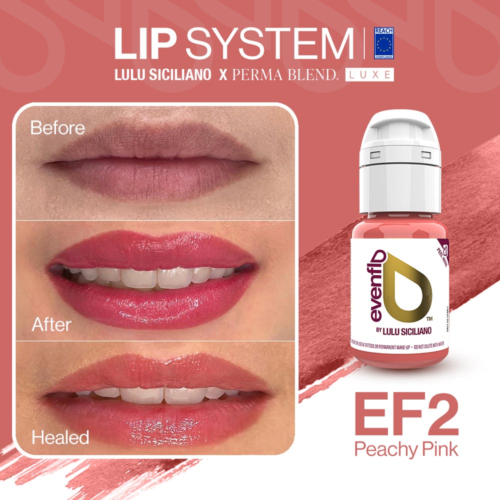 Evenflo Lip System — 1/2oz - Painful Pleasures