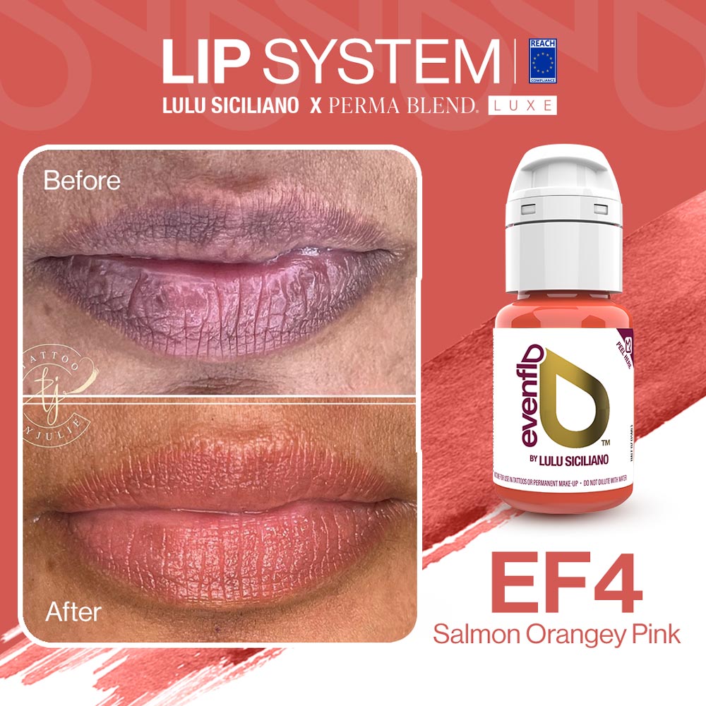 Evenflo Lip System — 1/2oz - Painful Pleasures