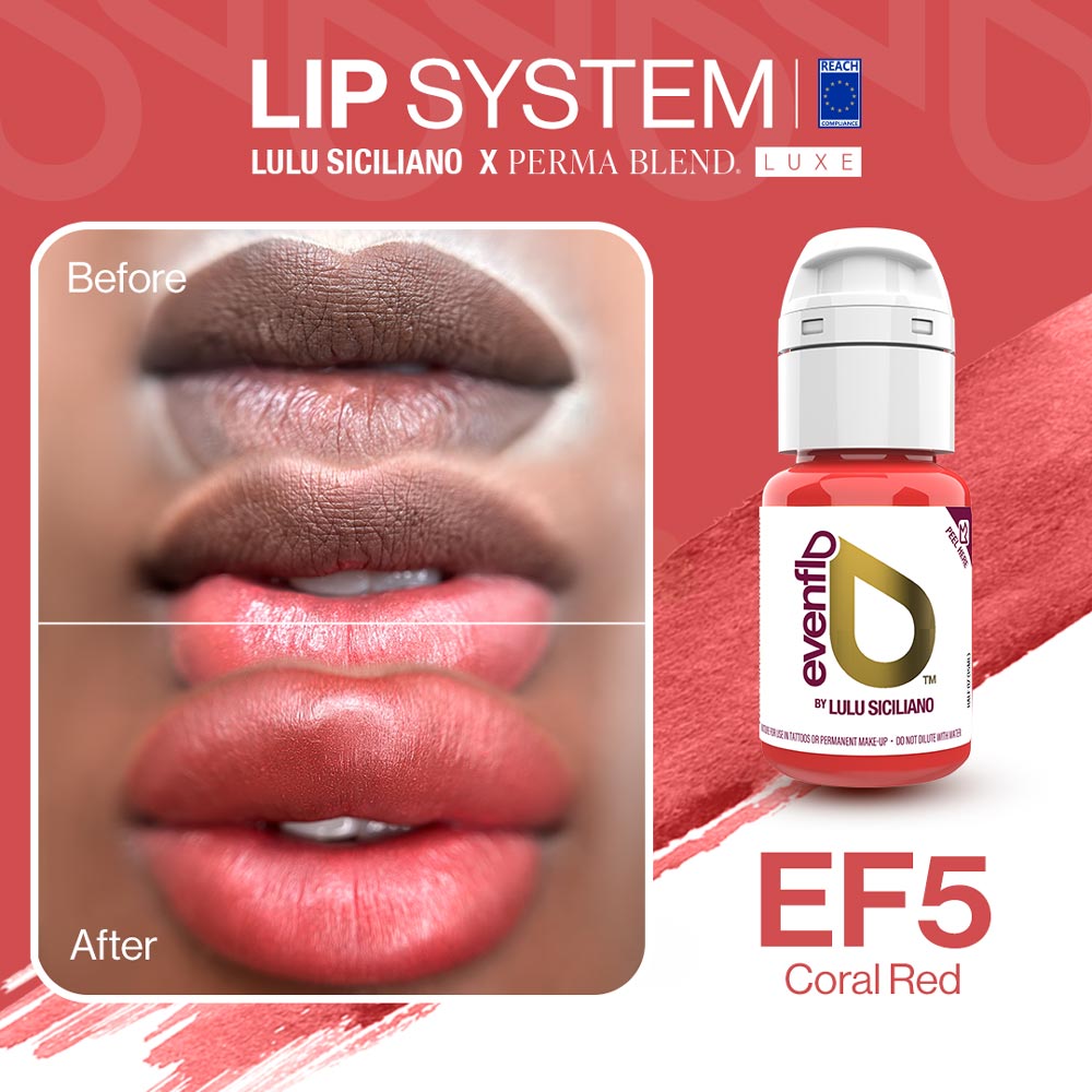 Evenflo Lip System — 1/2oz - Painful Pleasures