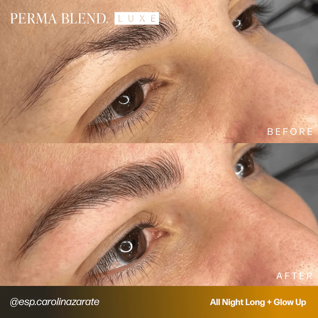Microblading Pro Set — Perma Blend Luxe — 6 10ml Pump Bottles - Painful Pleasures