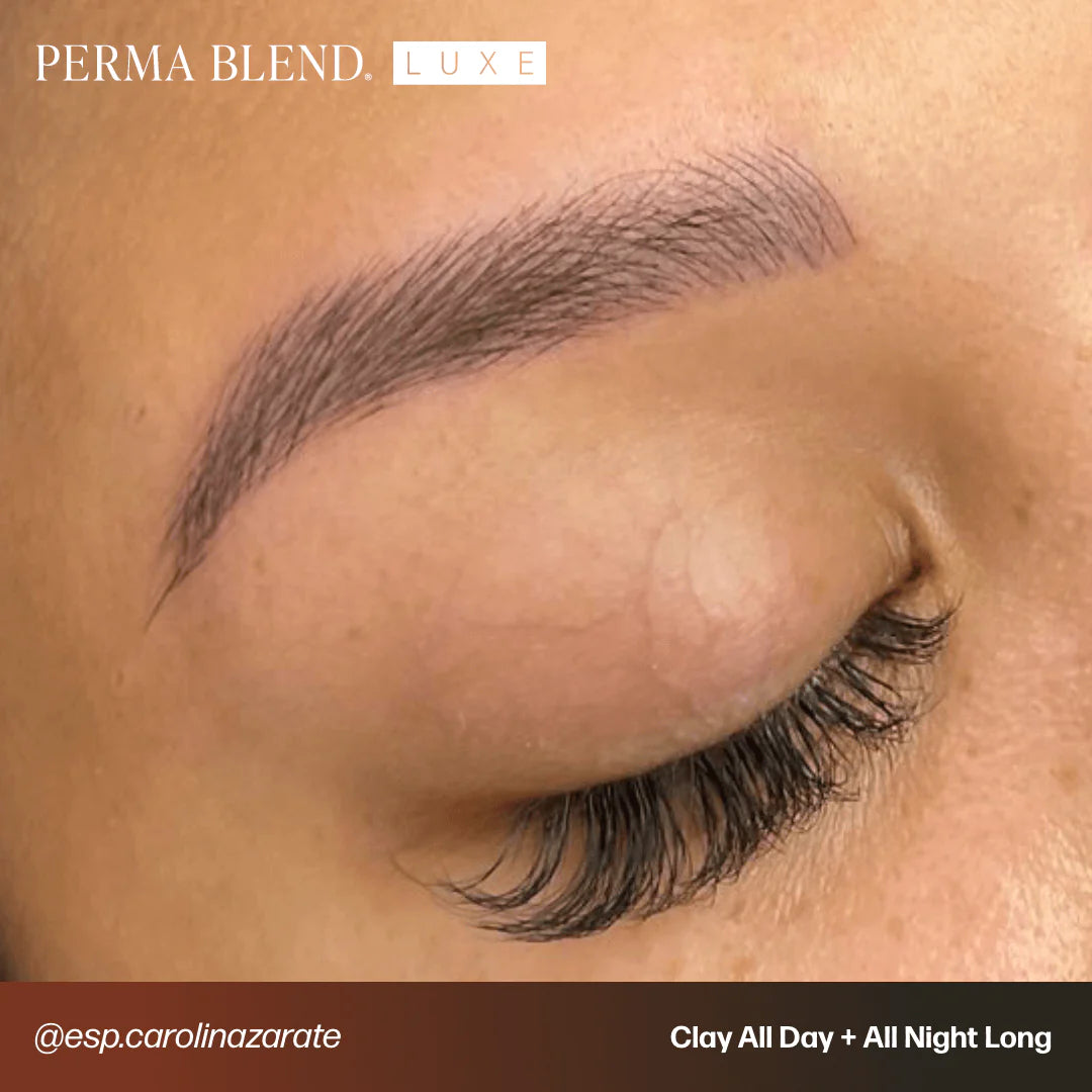 Microblading Pro Set — Perma Blend Luxe — 6 10ml Pump Bottles - Painful Pleasures