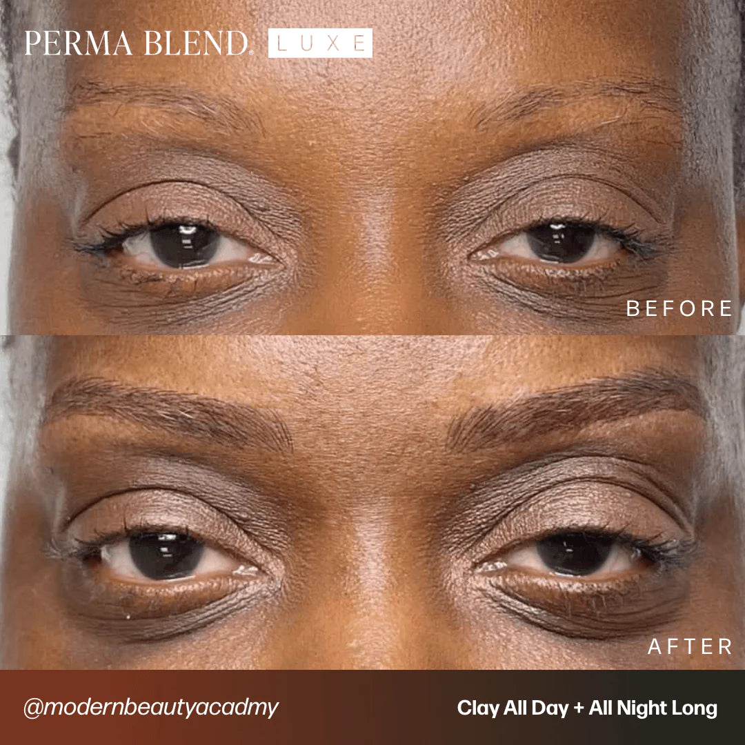 Microblading Pro Set — Perma Blend Luxe — 6 10ml Pump Bottles - Painful Pleasures