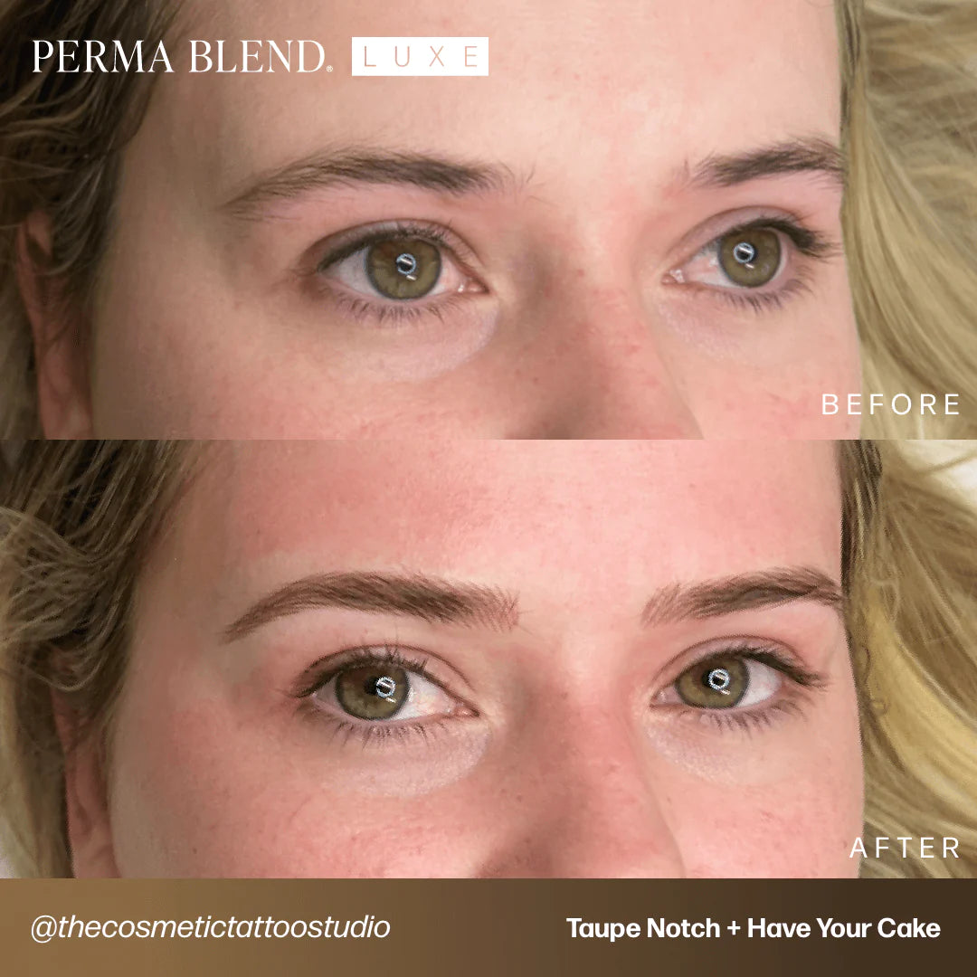 Microblading Pro Set — Perma Blend Luxe — 6 10ml Pump Bottles - Painful Pleasures