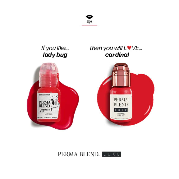 Sweet Lip Lady Bug — Perma Blend
