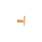 Tilum 14g Internally Threaded Replacement YELLOW GOLD FLAT STAR - Price Per 1 - Painful Pleasures