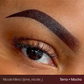 Evenflo Terra — Brow Set Single — 1/2oz
