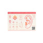 Tilum Promo Sticker Sheet — Price Per 1 - Painful Pleasures
