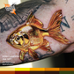 Pony Lawson 24k Set — World Famous Tattoo Ink — 1oz - Painful Pleasures