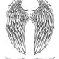 Angels and Wing Designs — Softcover Book