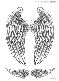 Angels and Wing Designs — Softcover Book