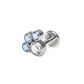 Tilum 14g-12g Internally Threaded Jewel Paw Print Cluster Top with 4mm Crystal - Price Per 1