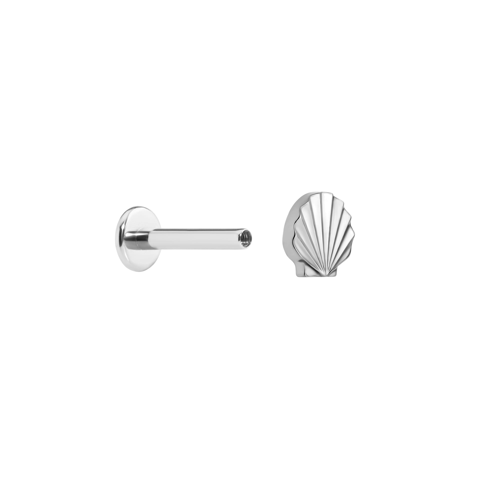 Tilum 18g-16g Internally Threaded Seashell Titanium Top - Price Per 1