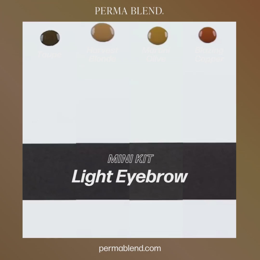 Light Eyebrow Mini Set – Perma Blend – 4 1/2oz Bottles