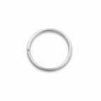 18g Seamless Annealed Stainless Steel Ring - Painful Pleasures