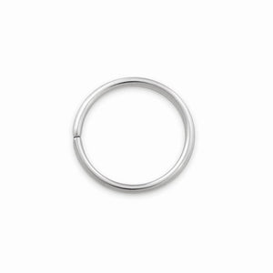 18g Seamless Annealed Stainless Steel Ring - Painful Pleasures