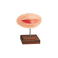 A Pound of Flesh PMU Practice Lips and Piercing Body Bit — Fitzpatrick Tone 2