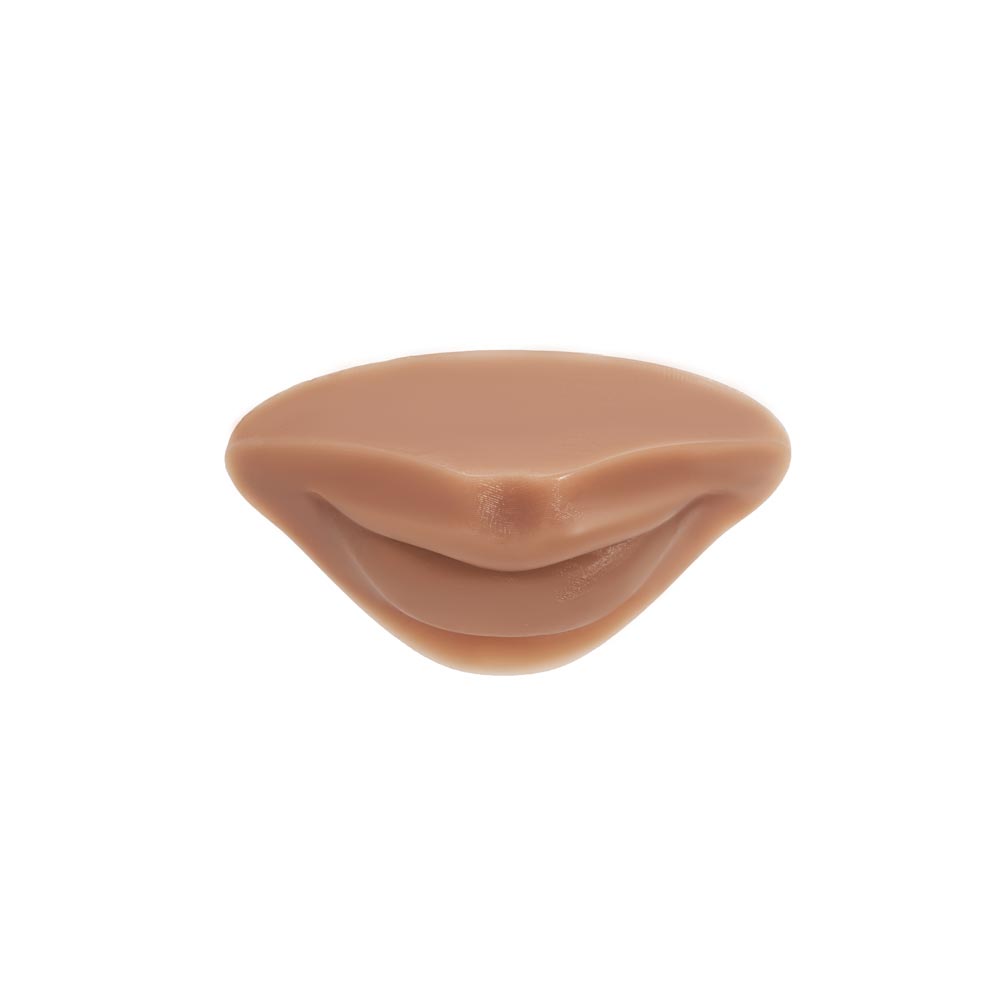A Pound of Flesh PMU Practice Lips and Piercing Body Bit —  Fitzpatrick Tone 4