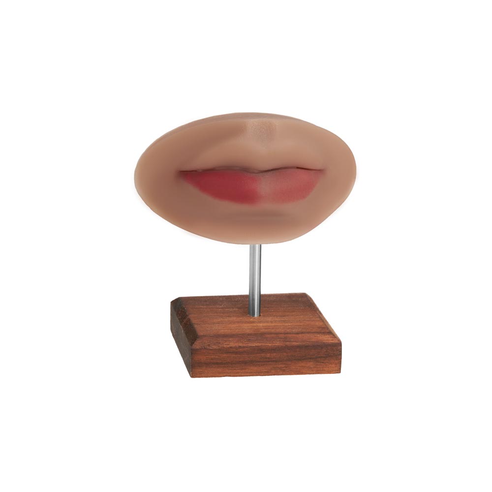 A Pound of Flesh PMU Practice Lips and Piercing Body Bit —  Fitzpatrick Tone 4