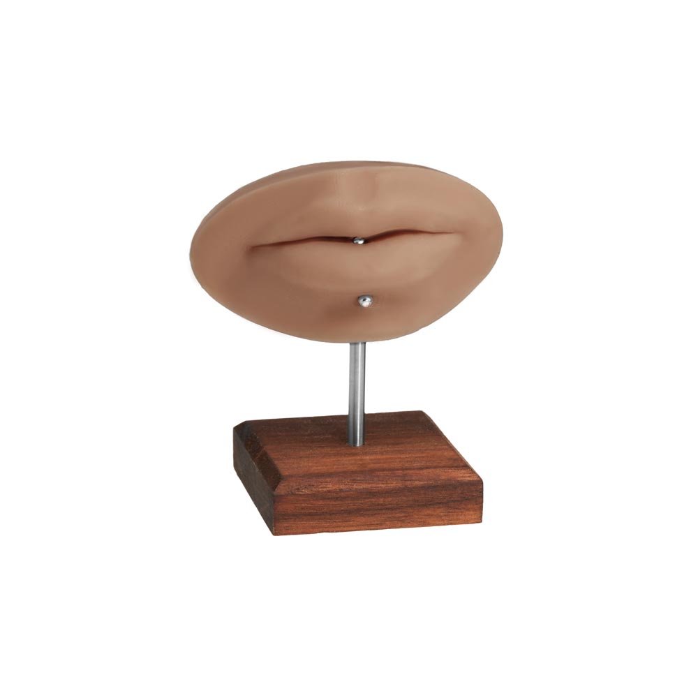 A Pound of Flesh PMU Practice Lips and Piercing Body Bit —  Fitzpatrick Tone 4