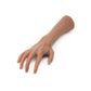 A Pound of Flesh Tattooable Synthetic Female Arm — Fitzpatrick Tone 4 — Right or Left