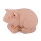 A Pound of Flesh Tattooable Synthetic Guinea Pig (Thumbnail)