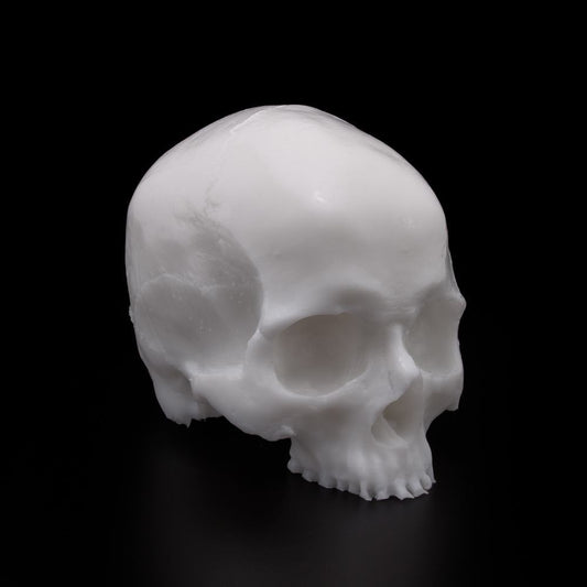 A Pound of Flesh Tattooable Synthetic Yorick Skull