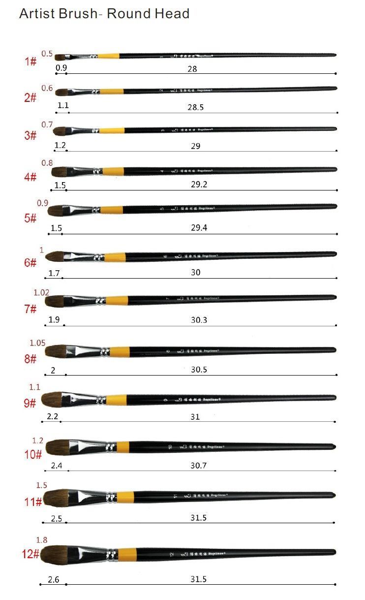 Choose from 12 Different Size Curved Paint Brushes Weasel Hair Bristles