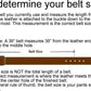 Belt Sizing Chart