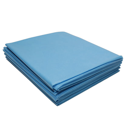 Disposable Bed Sheets — 40” x 90” — Case of 50 — Pick Color - Painful Pleasures