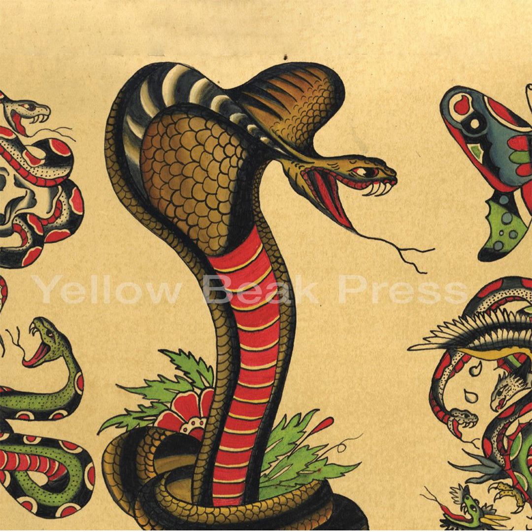 Ralph Ashwell Book — Hardcover Book - Painful Pleasures