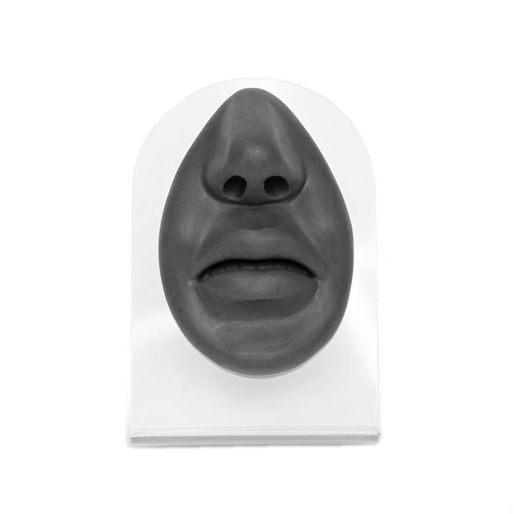 Silicone Nose and Lips Display — Black Body Bit Version 1 ...